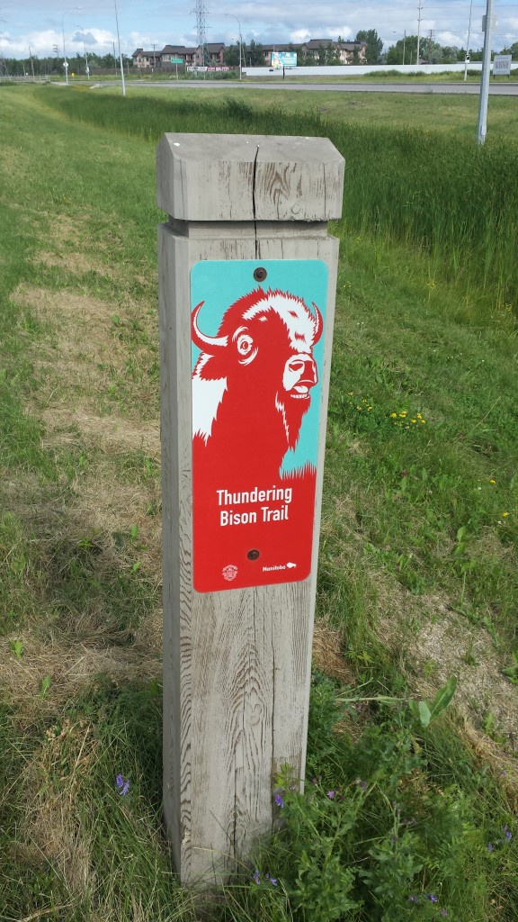 Thundering Bison Trail